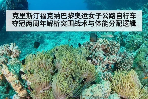 克里斯汀福克纳巴黎奥运女子公路自行车夺冠两周年解析突围战术与体能分配逻辑
