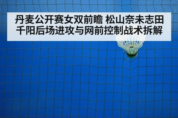 badminton net shot