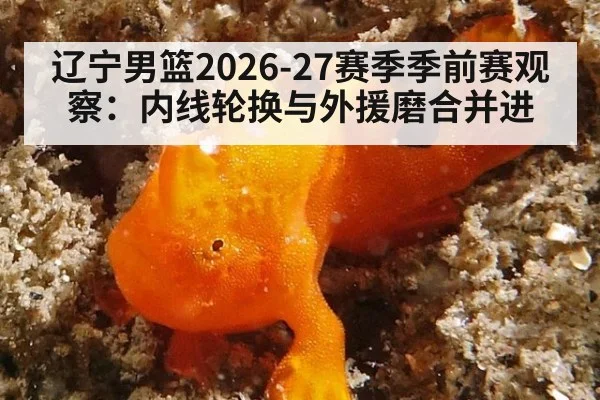 辽宁男篮2026-27赛季季前赛观察：内线轮换与外援磨合并进 - jiuyouhui